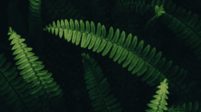 demo-attachment-3133-Rectangle-5581-min