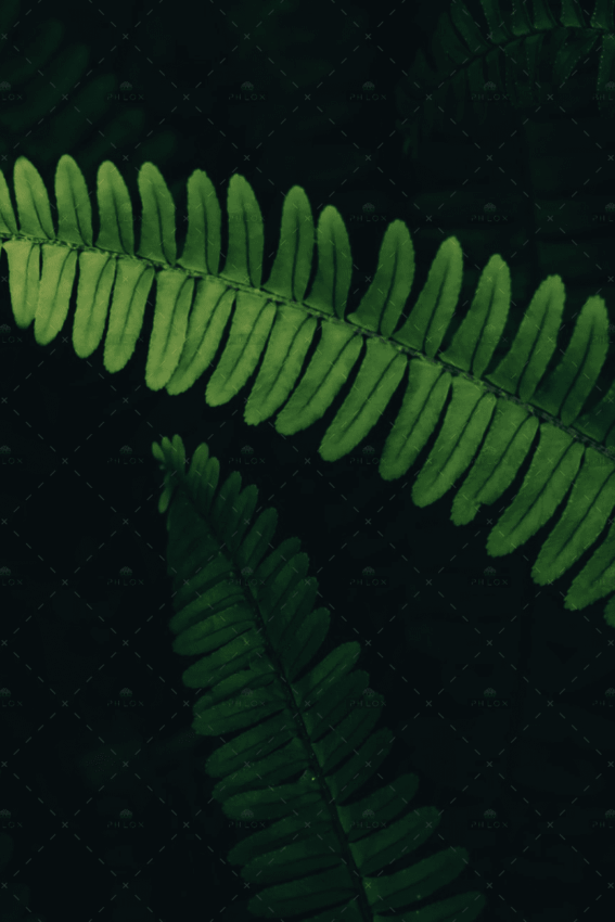 demo-attachment-3133-Rectangle-5581-min